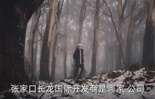 張家口長(zhǎng)龍國(guó)際開(kāi)發(fā)商是哪家 公司