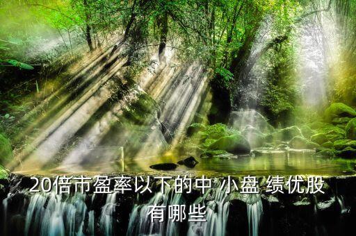 20倍市盈率以下的中 小盤 績(jī)優(yōu)股有哪些