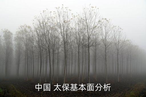 中國(guó) 太保基本面分析