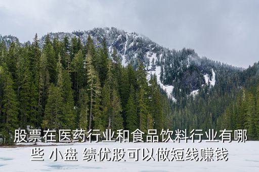  股票在醫(yī)藥行業(yè)和食品飲料行業(yè)有哪些 小盤 績(jī)優(yōu)股可以做短線賺錢