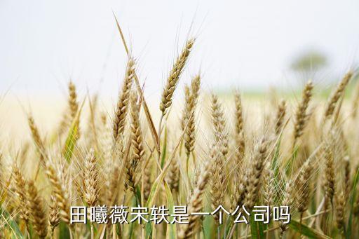 田曦薇宋軼是一個公司嗎