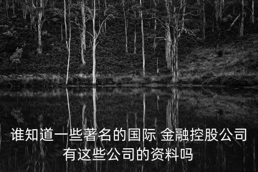 誰知道一些著名的國(guó)際 金融控股公司有這些公司的資料嗎