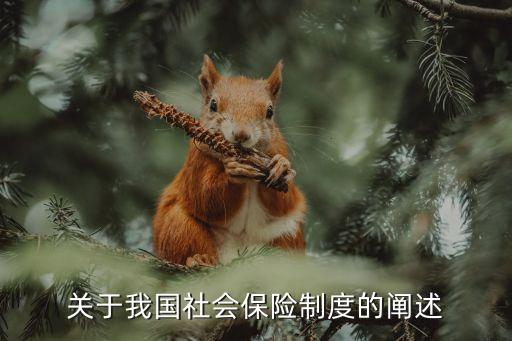 關(guān)于我國(guó)社會(huì)保險(xiǎn)制度的闡述