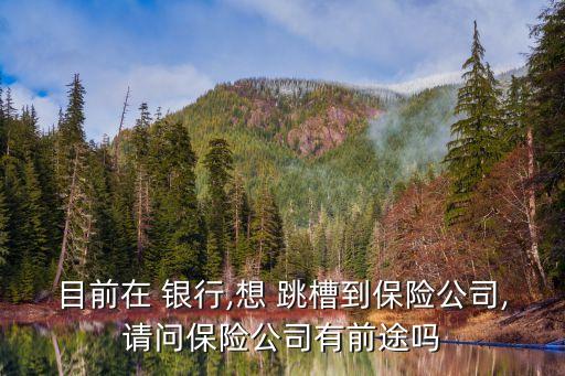 目前在 銀行,想 跳槽到保險(xiǎn)公司,請(qǐng)問保險(xiǎn)公司有前途嗎