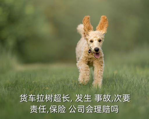  貨車?yán)瓨?shù)超長(zhǎng), 發(fā)生 事故,次要責(zé)任,保險(xiǎn) 公司會(huì)理賠嗎