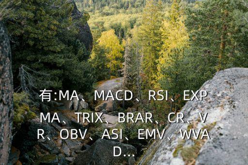 有:MA、MACD、RSI、EXPMA、TRIX、BRAR、CR、VR、OBV、ASI、EMV、WVAD...