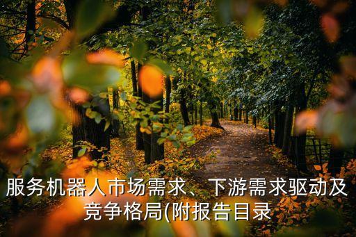 服務(wù)機(jī)器人市場(chǎng)需求、下游需求驅(qū)動(dòng)及競(jìng)爭(zhēng)格局(附報(bào)告目錄