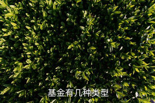  基金有幾種類(lèi)型