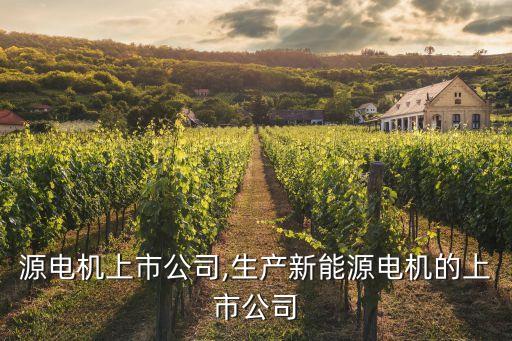 新能源電機上市公司,生產新能源電機的上市公司