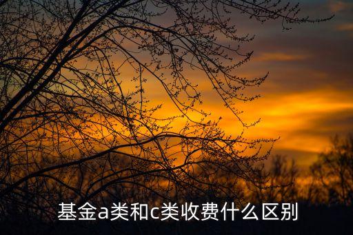  基金a類和c類收費(fèi)什么區(qū)別