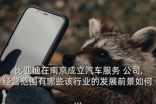  比亞迪在南京成立汽車服務(wù) 公司,經(jīng)營(yíng)范圍有哪些該行業(yè)的發(fā)展前景如何...