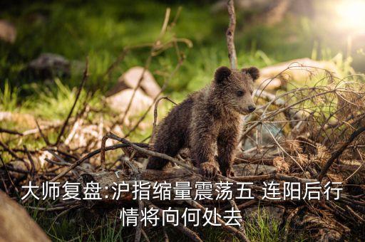 大師復(fù)盤(pán):滬指縮量震蕩五 連陽(yáng)后行情將向何處去