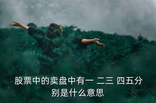 股票中的賣盤(pán)中有一 二三 四五分別是什么意思