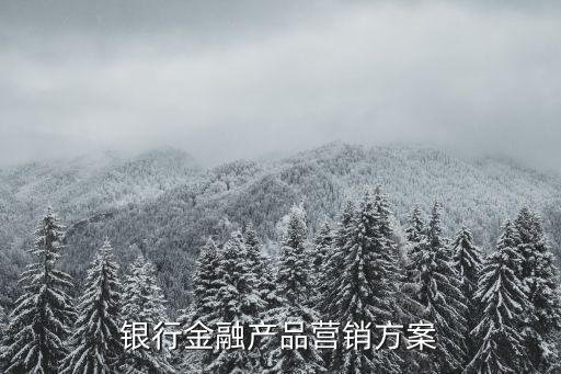 銀行金融產品營銷方案