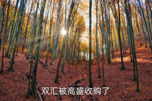 雙匯被高盛收購(gòu)了