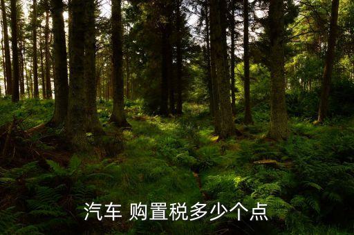 汽車(chē) 購(gòu)置稅多少個(gè)點(diǎn)