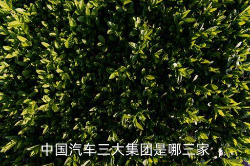 中國(guó)汽車(chē)三大集團(tuán)是哪三家