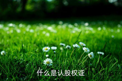 什么是認股權(quán)證