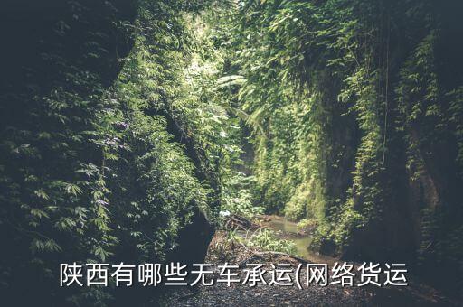  陜西有哪些無車承運(yùn)(網(wǎng)絡(luò)貨運(yùn)
