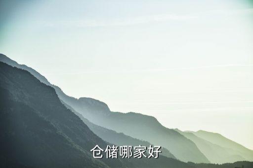 倉儲(chǔ)哪家好