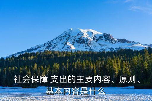 社會(huì)保障 支出的主要內(nèi)容、原則、基本內(nèi)容是什么