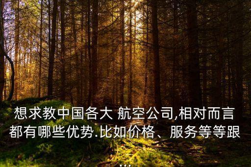 想求教中國各大 航空公司,相對而言都有哪些優(yōu)勢.比如價格、服務(wù)等等跟...