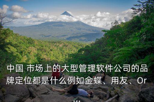 中國 市場上的大型管理軟件公司的品牌定位都是什么例如金蝶、用友、Or...