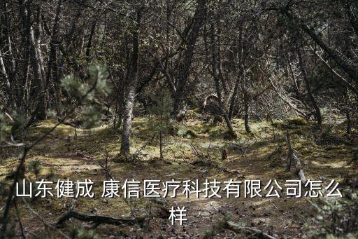 上?？敌湃谫Y租