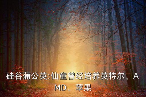 硅谷蒲公英:仙童曾經(jīng)培養(yǎng)英特爾、AMD、蘋果