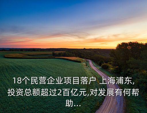 18個(gè)民營(yíng)企業(yè)項(xiàng)目落戶 上海浦東,投資總額超過(guò)2百億元,對(duì)發(fā)展有何幫助...