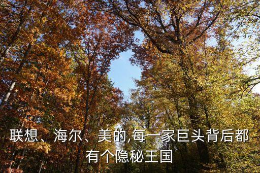 聯(lián)想、海爾、美的,每一家巨頭背后都有個(gè)隱秘王國
