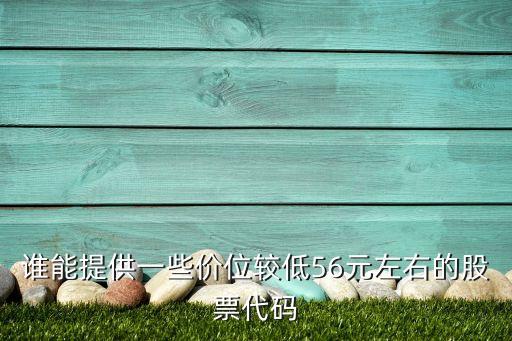 誰能提供一些價(jià)位較低56元左右的股票代碼
