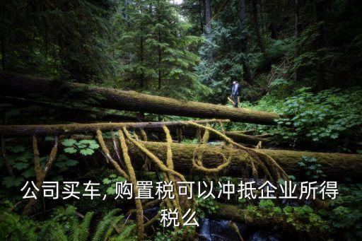 公司名下的小汽車車輛購(gòu)置稅稅率,小汽車車輛購(gòu)置稅稅率是多少
