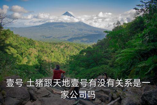 壹號(hào) 土豬跟天地壹號(hào)有沒有關(guān)系是一家公司嗎