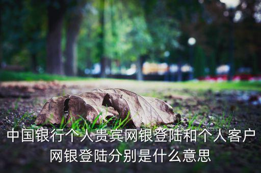 中國(guó)行與思,行與思作文800字