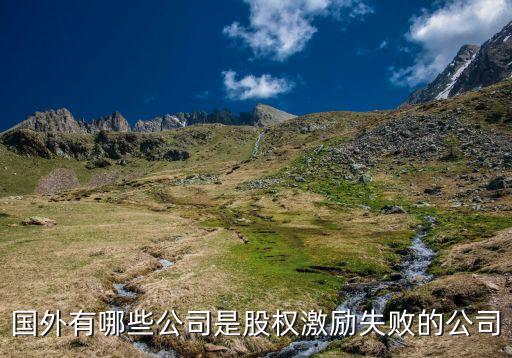 國外有哪些公司是股權激勵失敗的公司