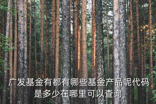  廣發(fā)基金有都有哪些基金產品呢代碼是多少在哪里可以查詢