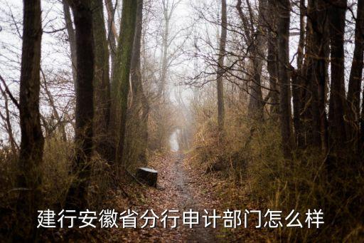 建行安徽省分行申計(jì)部門(mén)怎么樣