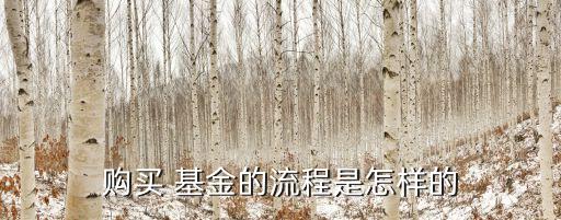 直銷(xiāo)基金