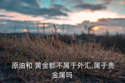 投資現貨原油黃金,看現貨黃金原油的軟件電腦版的哪個好