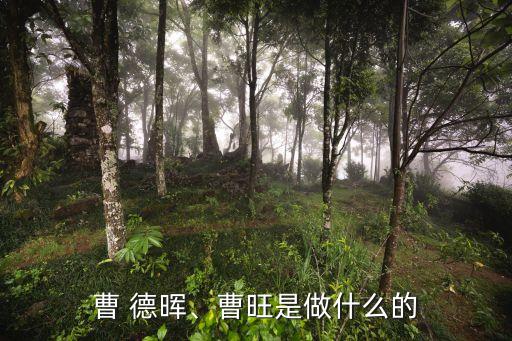 曹 德暉、曹旺是做什么的