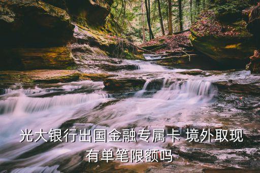  光大銀行出國(guó)金融專(zhuān)屬卡 境外取現(xiàn)有單筆限額嗎