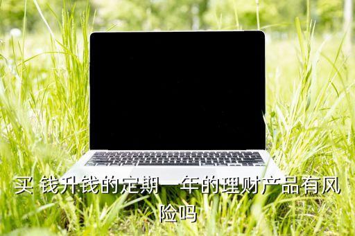 買 錢升錢的定期一年的理財產(chǎn)品有風險嗎