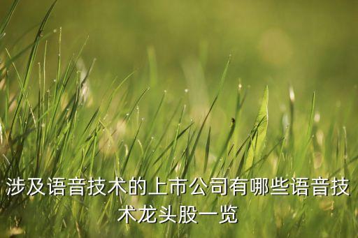 涉及語(yǔ)音技術(shù)的上市公司有哪些語(yǔ)音技術(shù)龍頭股一覽