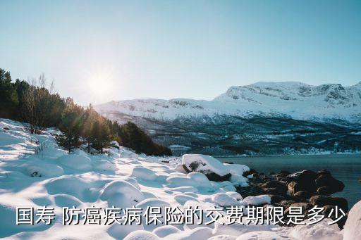 國壽 防癌疾病保險(xiǎn)的交費(fèi)期限是多少