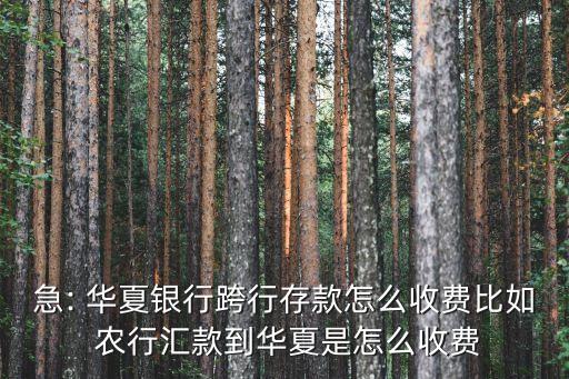 急: 華夏銀行跨行存款怎么收費比如 農行匯款到華夏是怎么收費