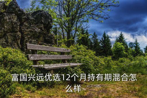  富國興遠(yuǎn)優(yōu)選12個(gè)月持有期混合怎么樣