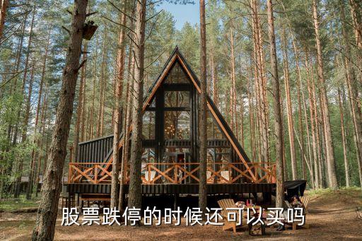 股票跌停的時(shí)候還可以買(mǎi)嗎