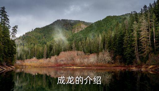 上海的陳志平,上海陳志平女教授是誰(shuí)呀