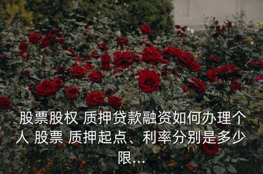  股票股權(quán) 質(zhì)押貸款融資如何辦理個人 股票 質(zhì)押起點(diǎn)、利率分別是多少限...